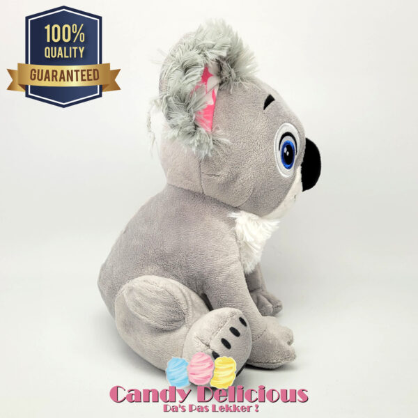 Koala 22cm Candy Delicious