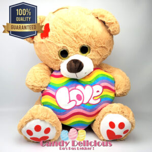 Beer Bruin Regenboog Hart 54cm Candy Delicious